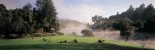 Huka Lodge mist off the River